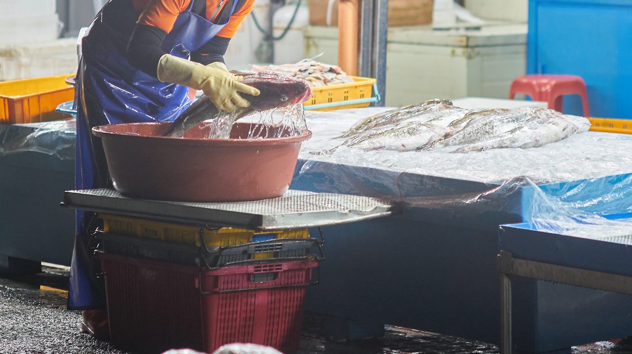 삼척 새벽시장 3.jpg