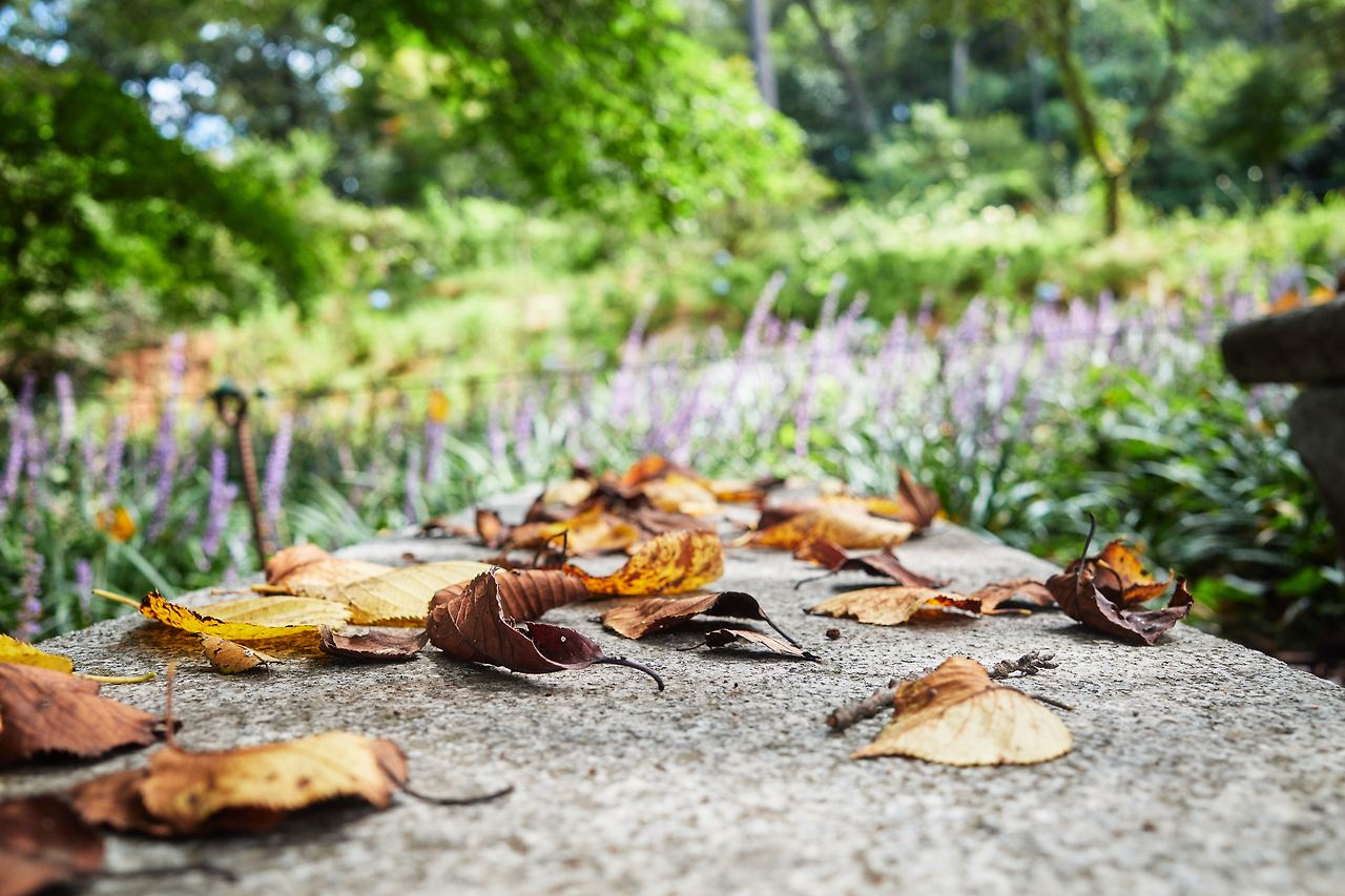 미당면옥_당진 6.jpg