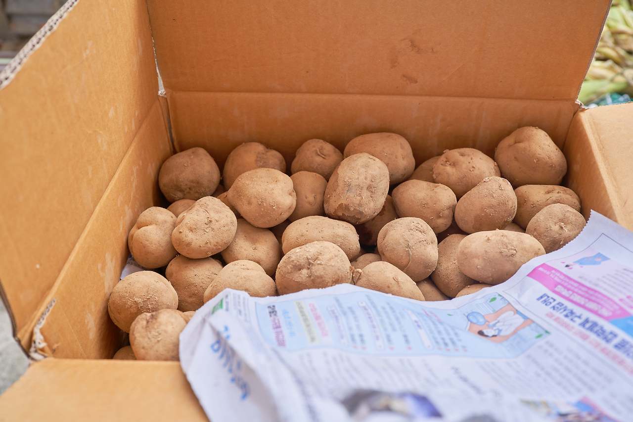 영월 10.jpg