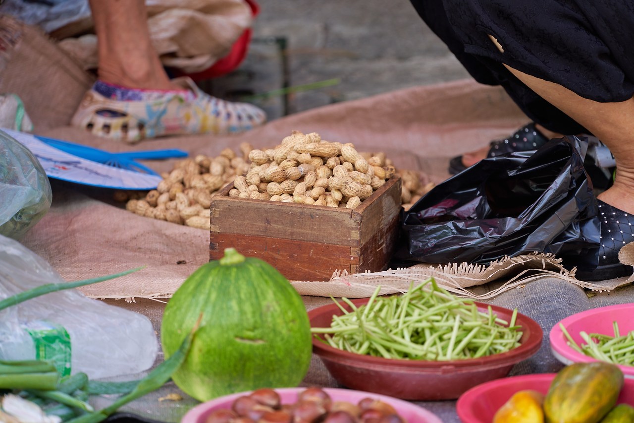 땅콩 1.jpg