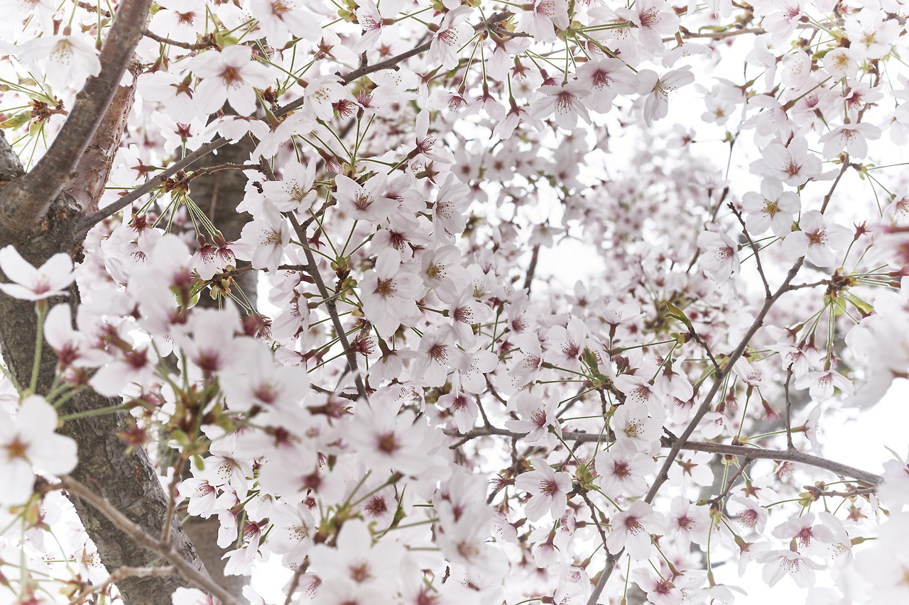 올해의 사진_2.jpg