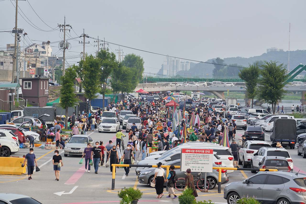 새벽시장 5.jpg