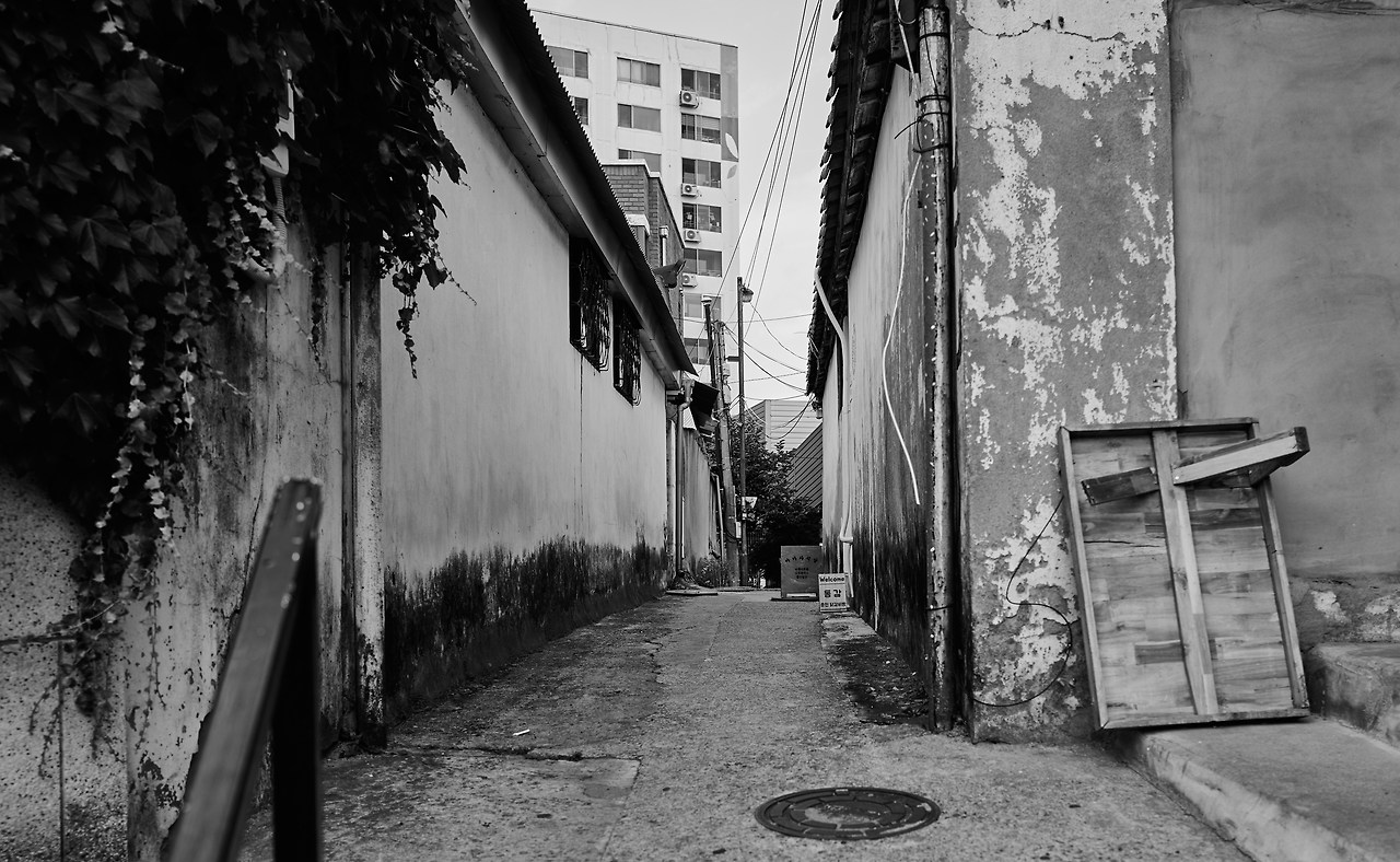 육림고개 2.jpg