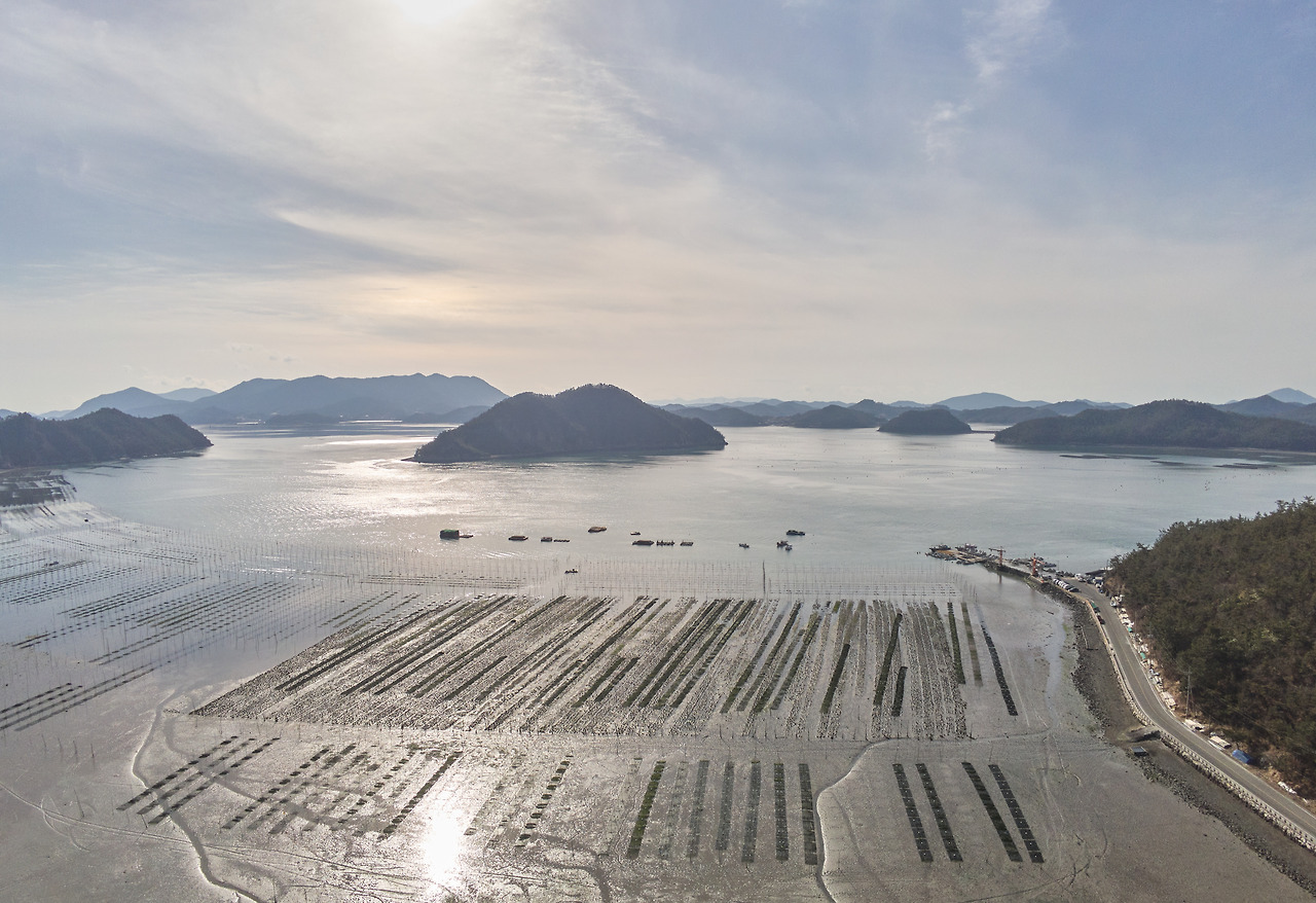 매생이 1.jpg