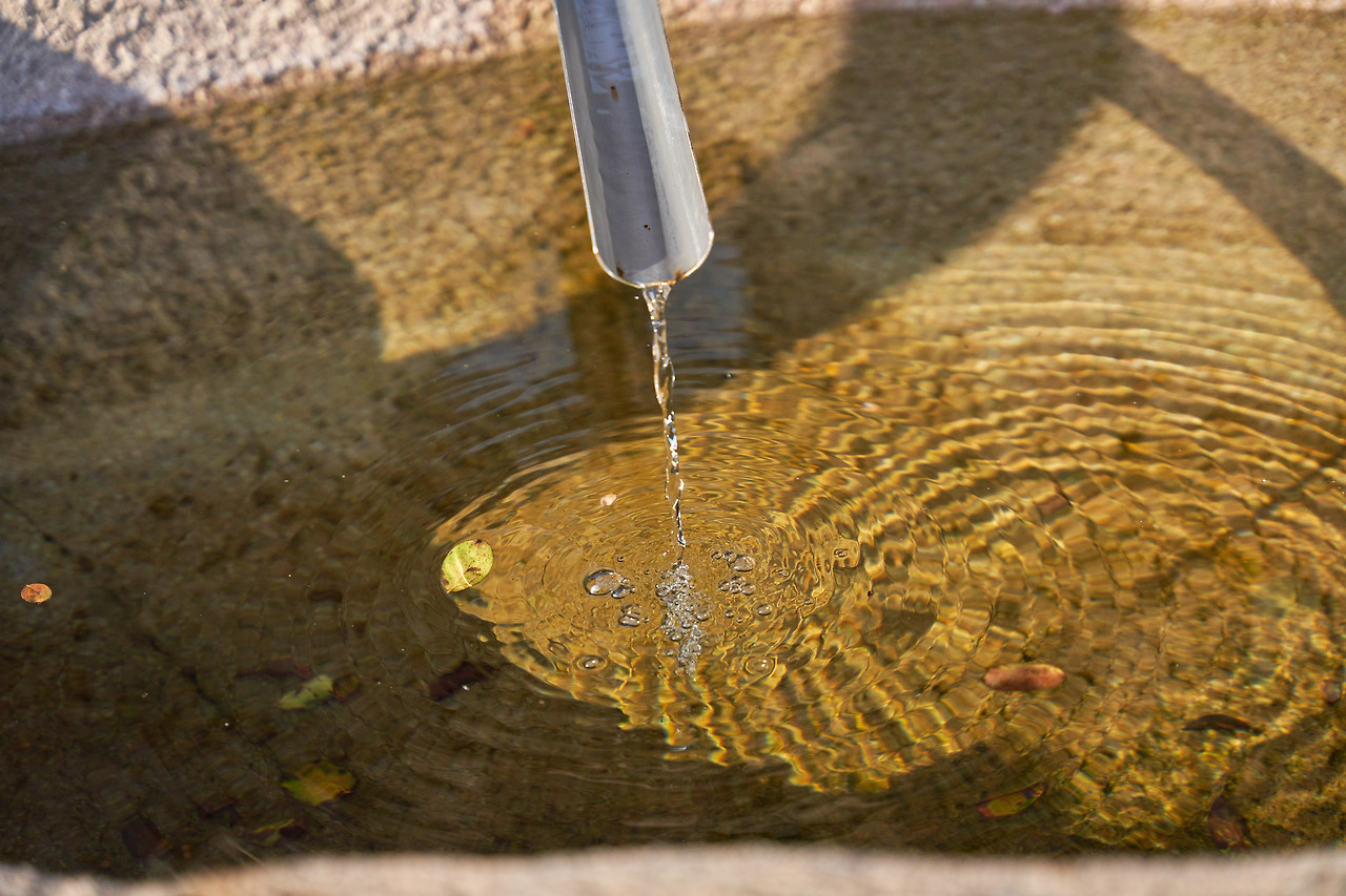 강진 7.jpg