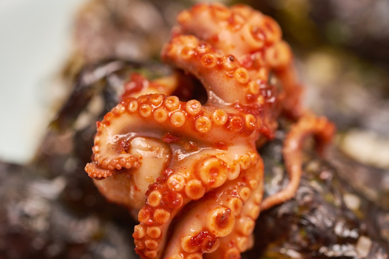 충무김밥 3.jpg