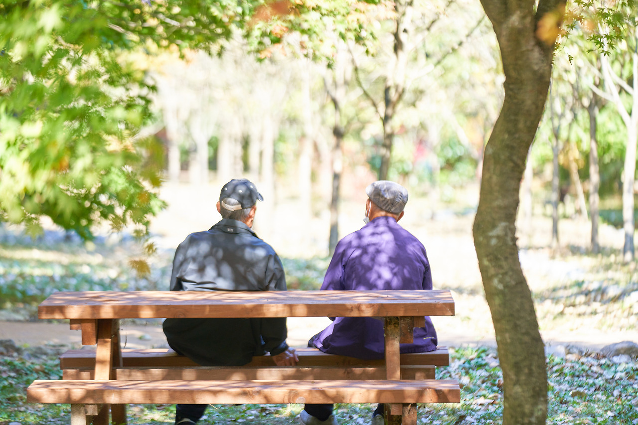 가을 3.jpg