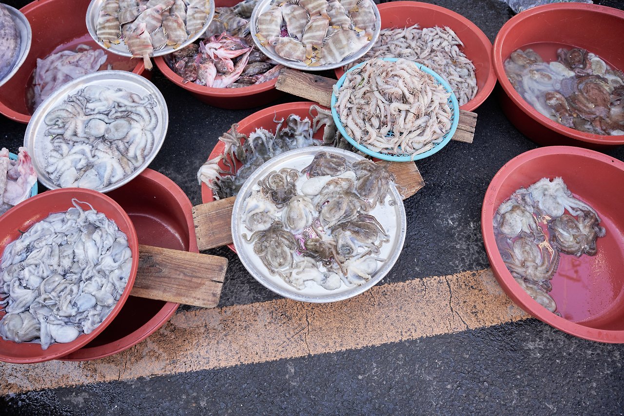 고흥장 7.jpg