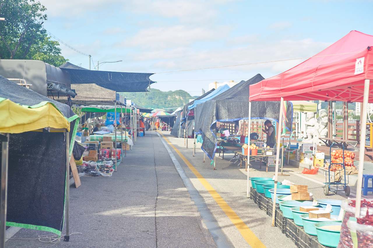 영월 11.jpg