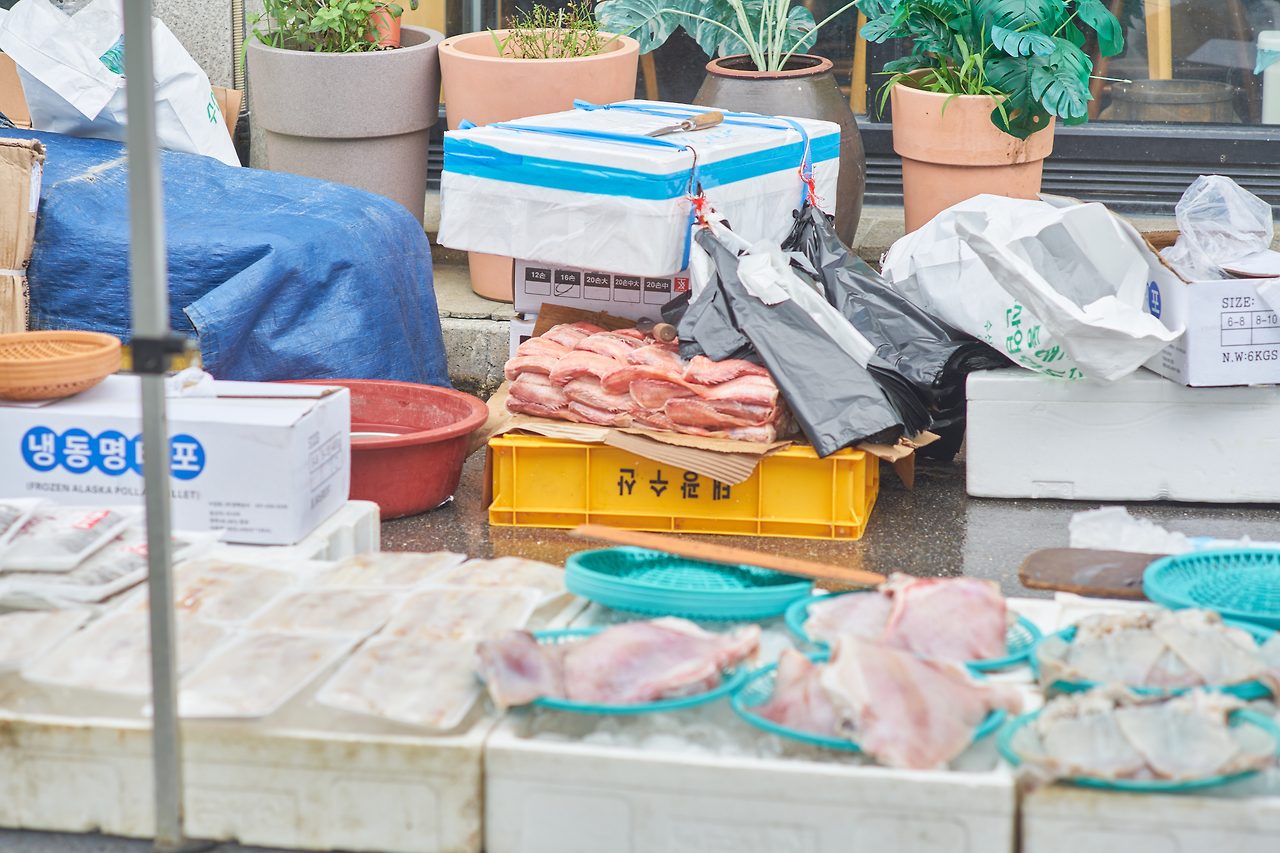 동해 장문볼락 적어.jpg