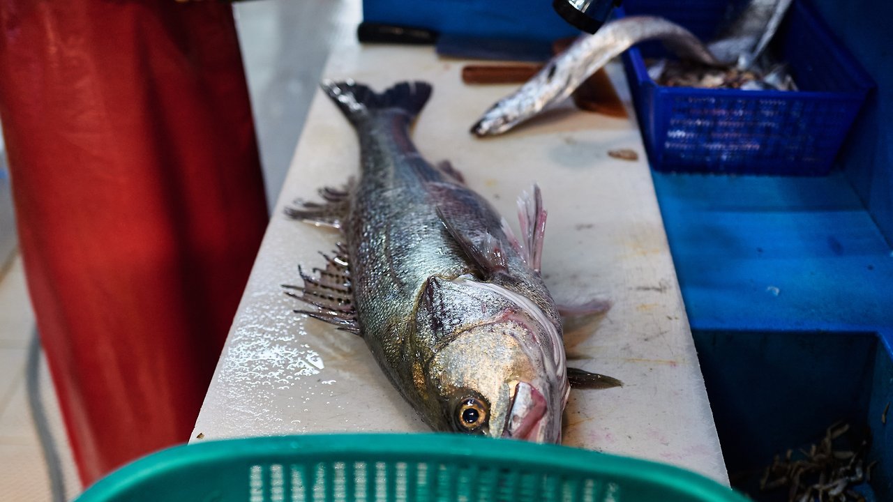 오일장4 5.jpg