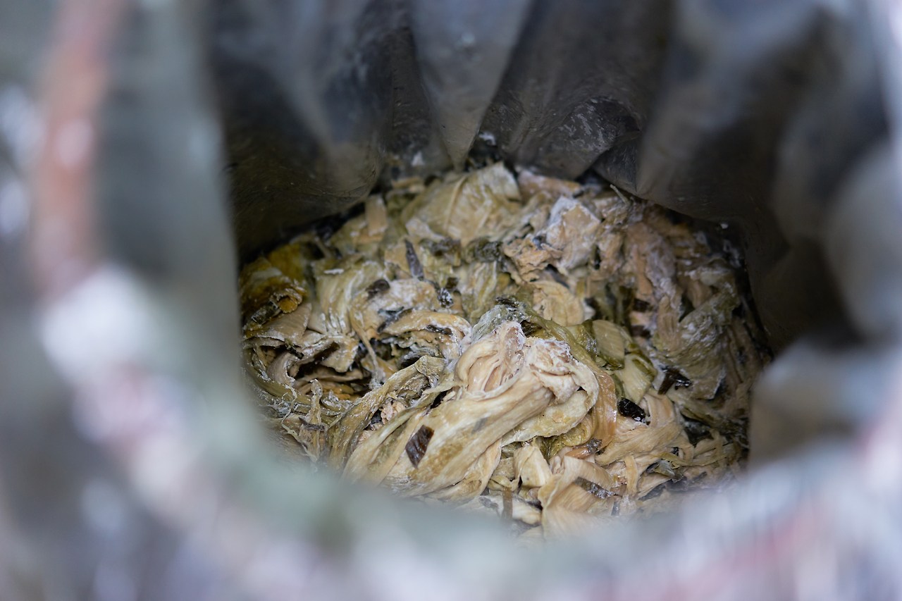 삭힌김치 1.jpg