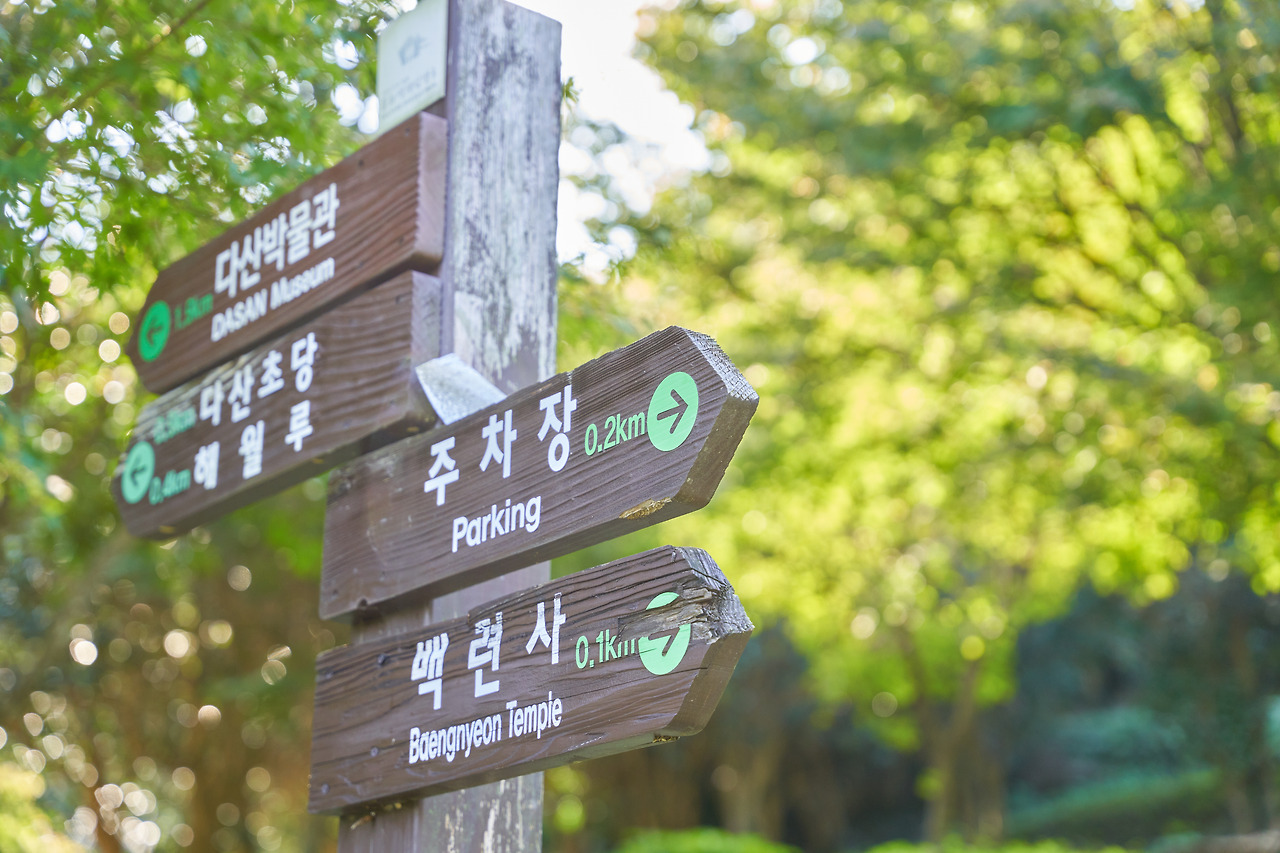 강진 6.jpg