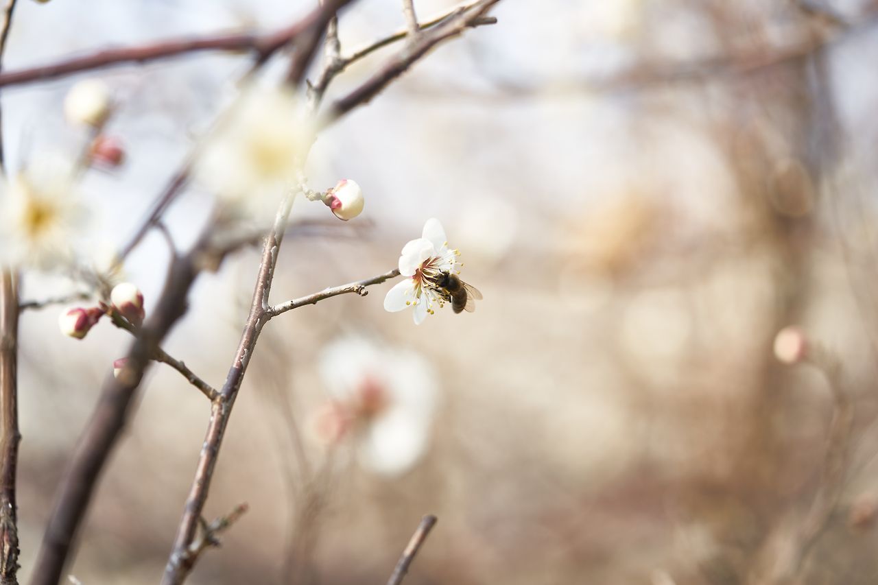 봄이다 3.jpg