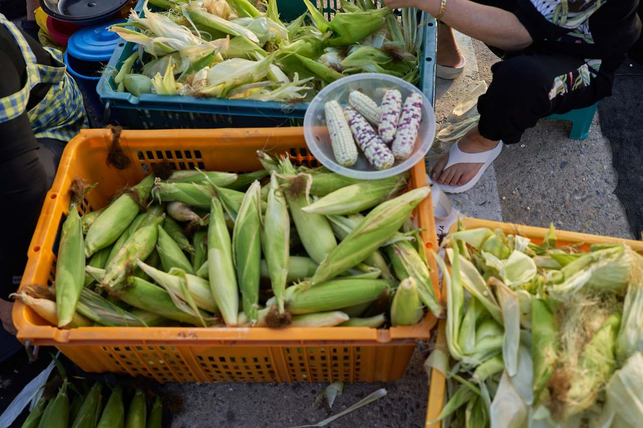 강릉양양 8.jpg