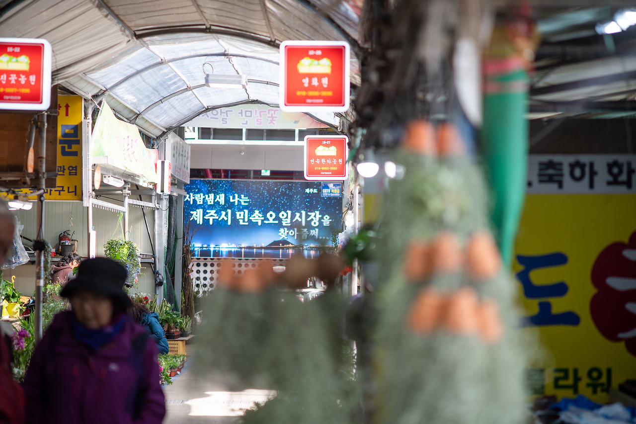 제주_오일장 (2).jpg