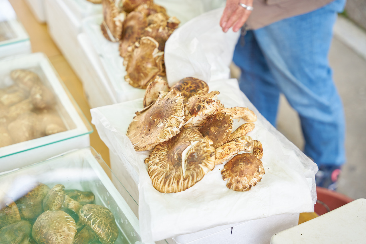 삼척 6.jpg