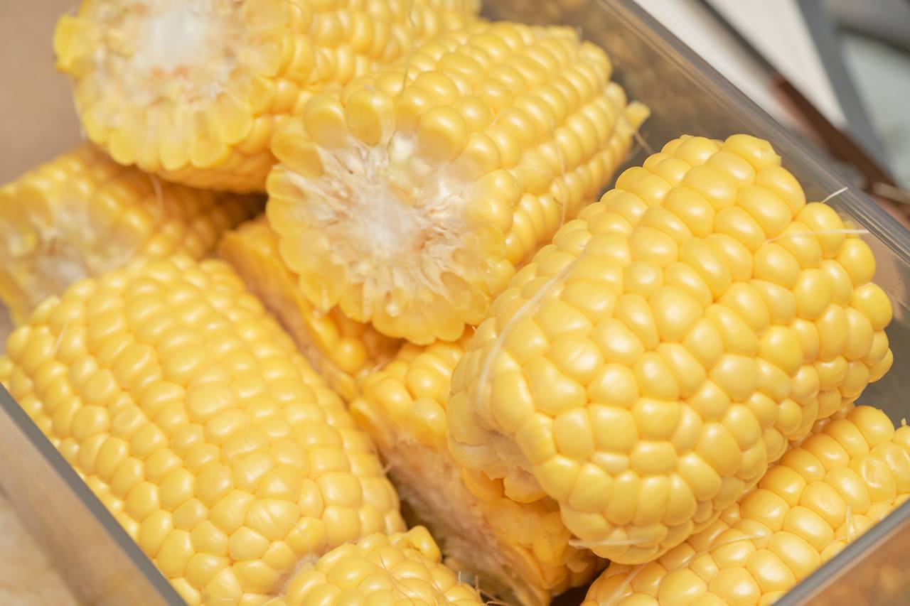 옥수수 1.jpg