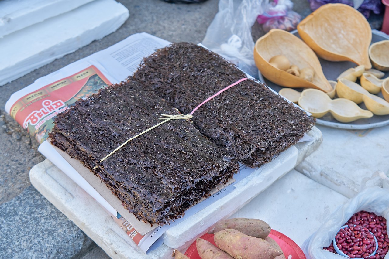 울진 김.jpg