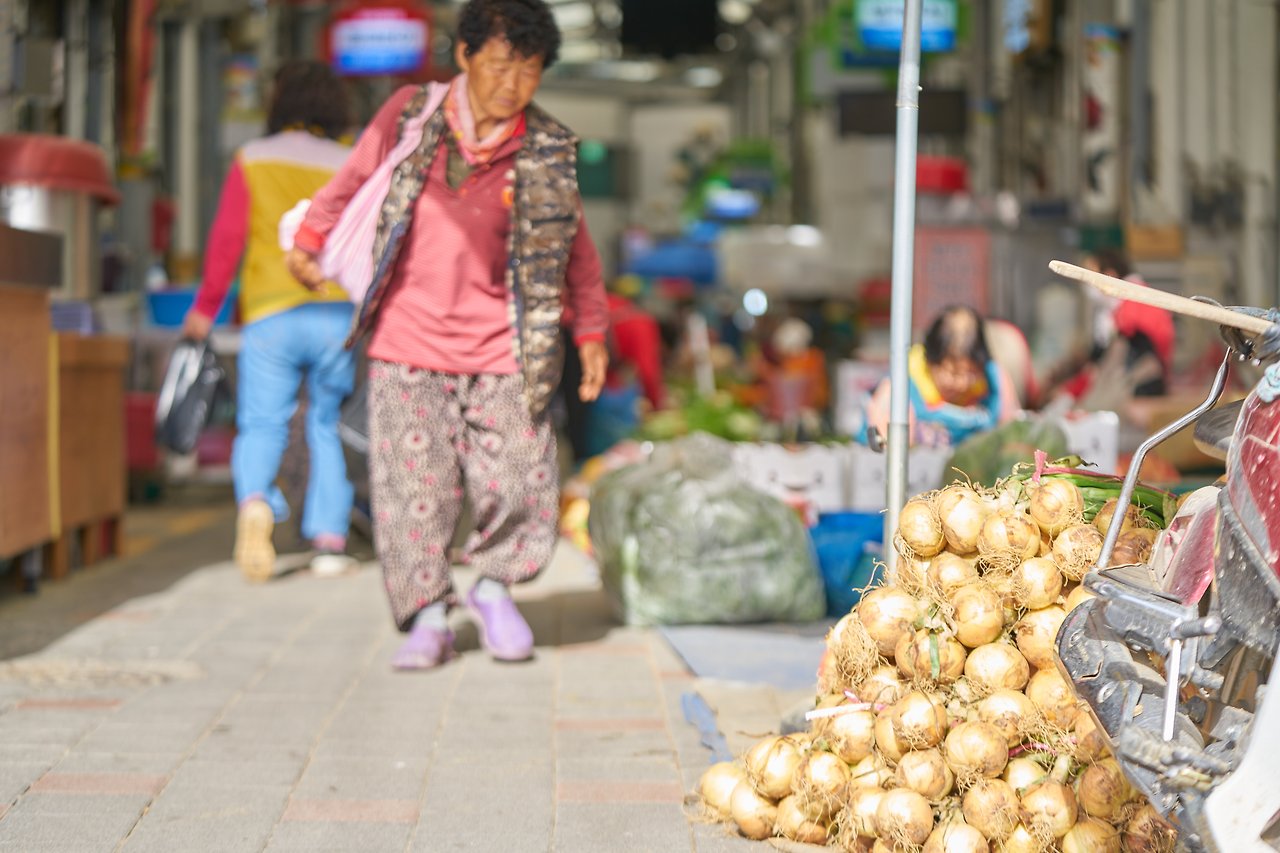 양파 1.jpg