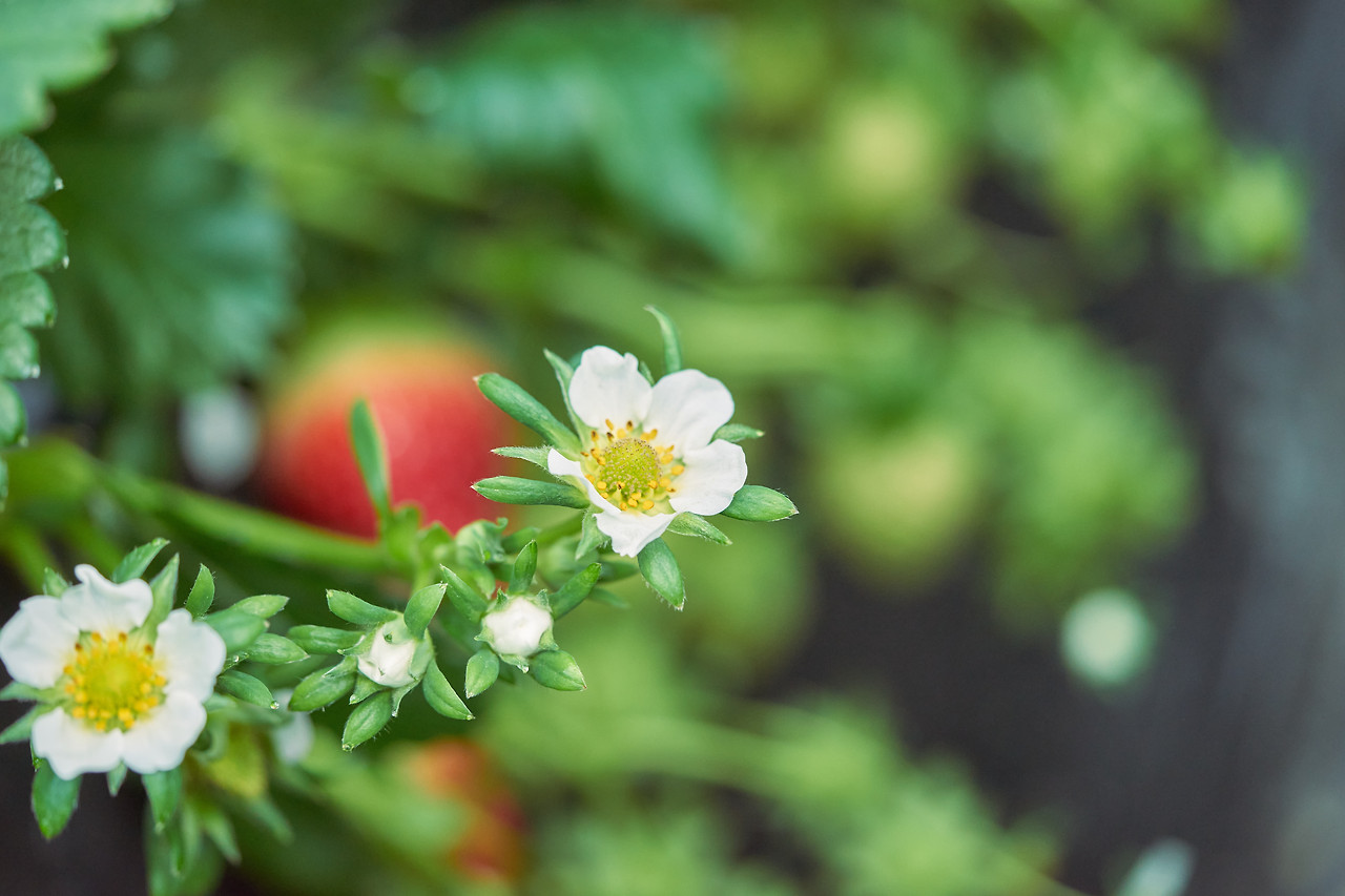 돈가스1 1.jpg