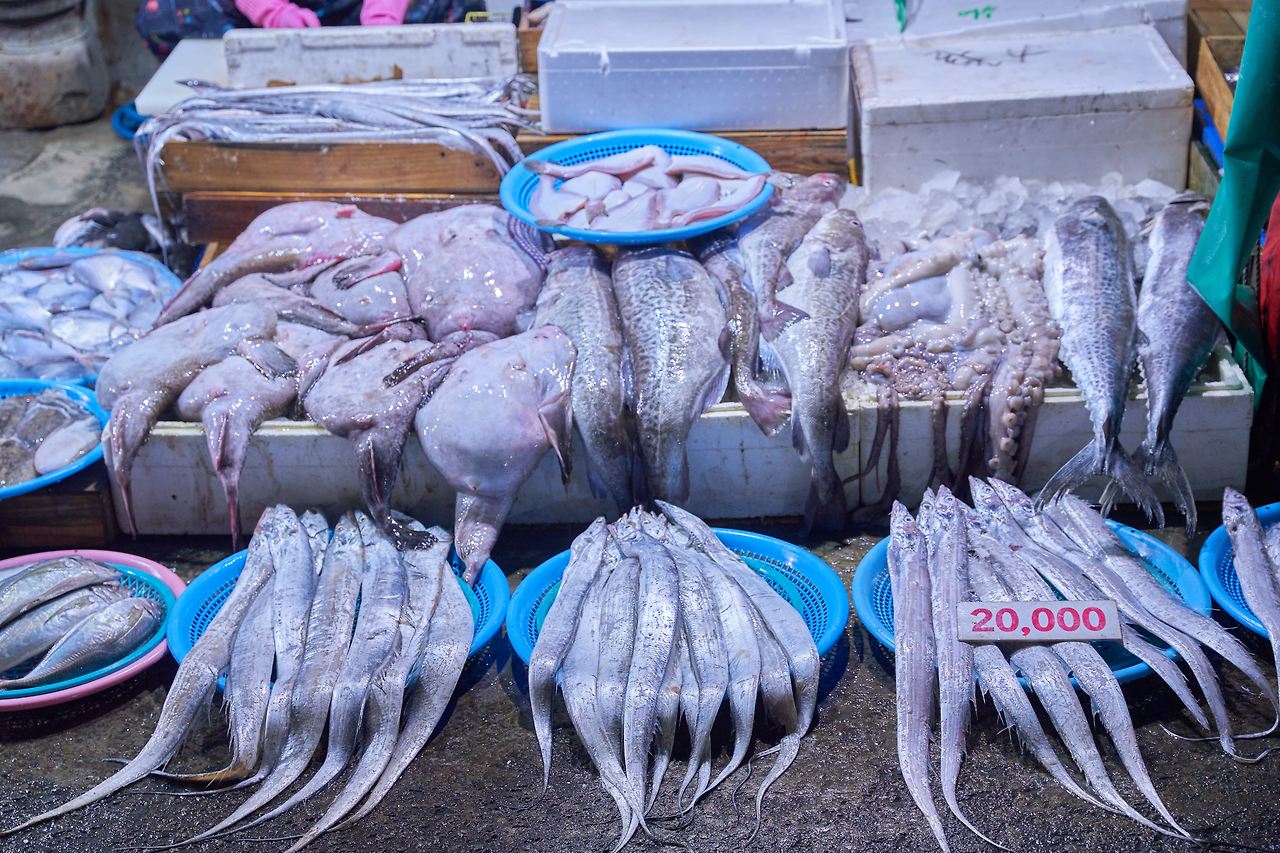 충무동 3.jpg