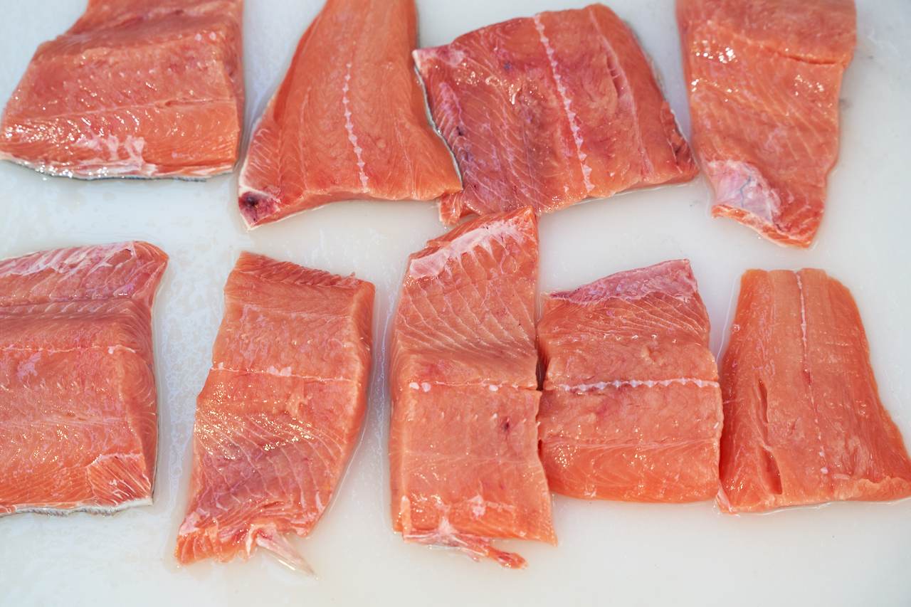 고성 연어.jpg