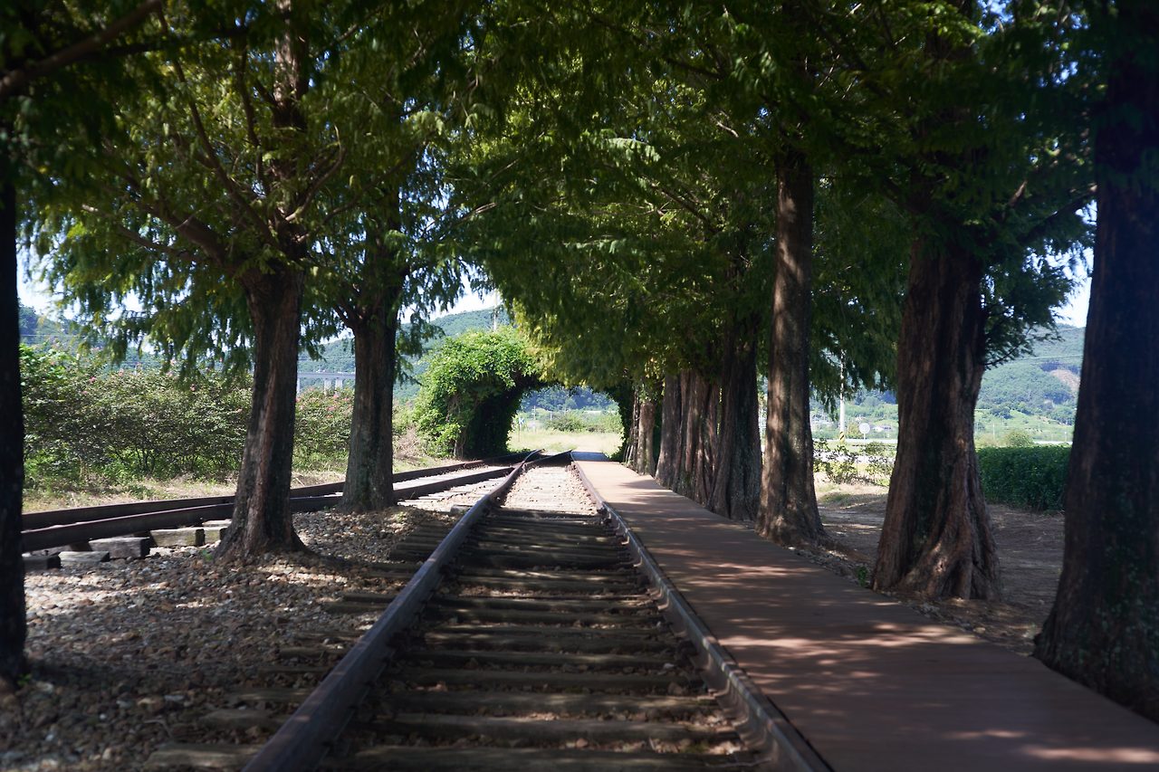 남원 서도.jpg