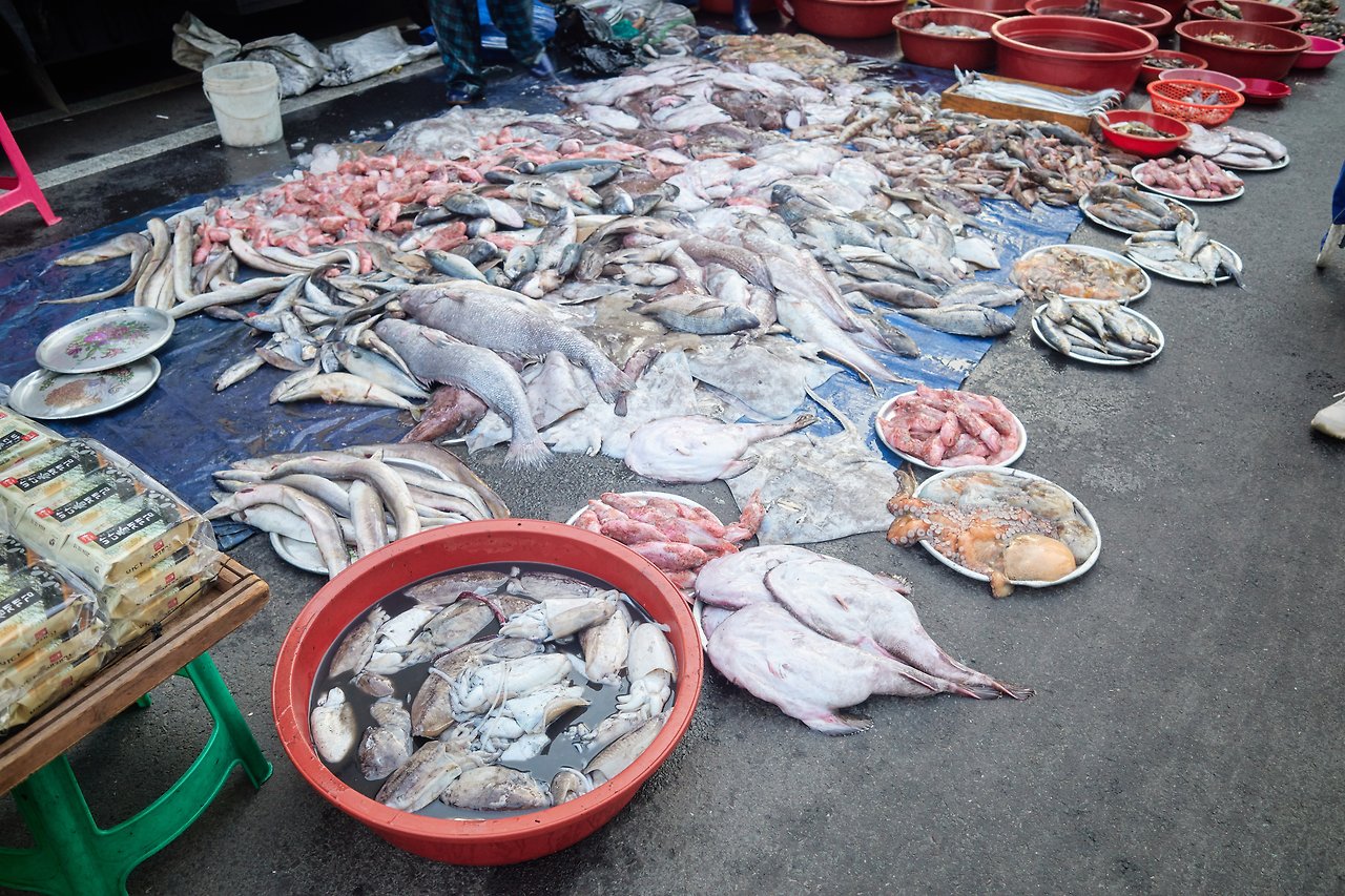 창원장 16.jpg