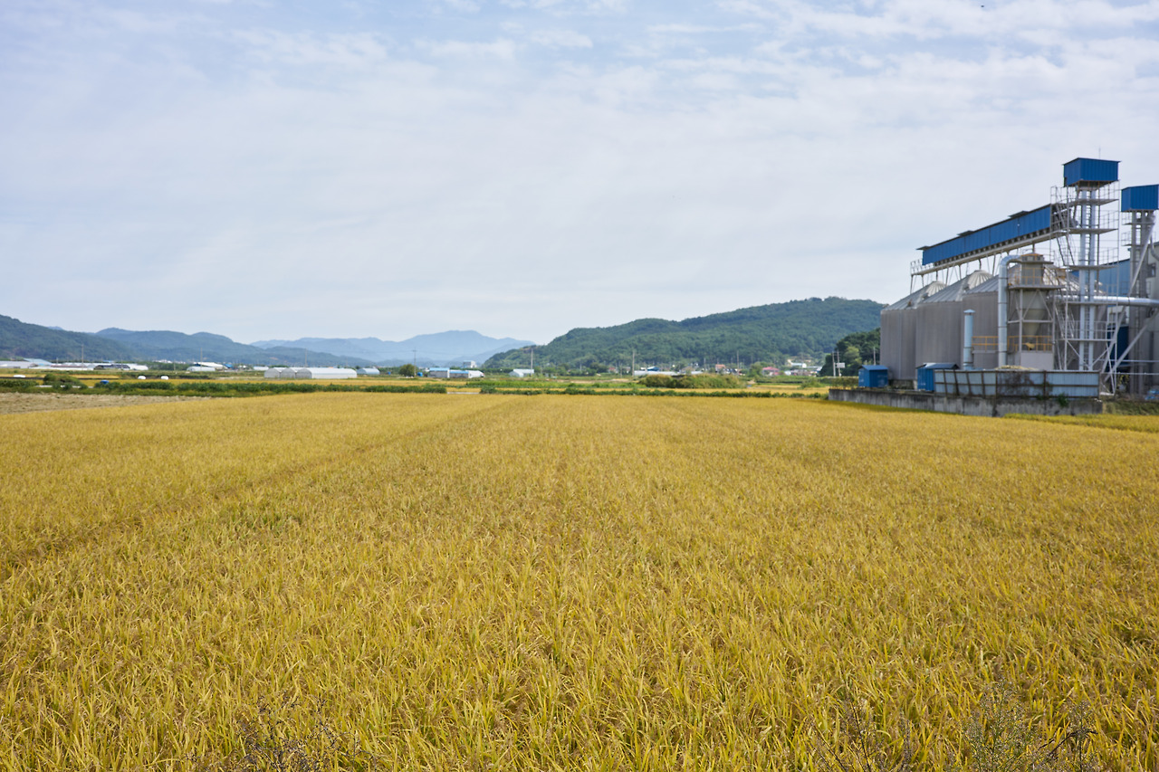 가을 1.jpg