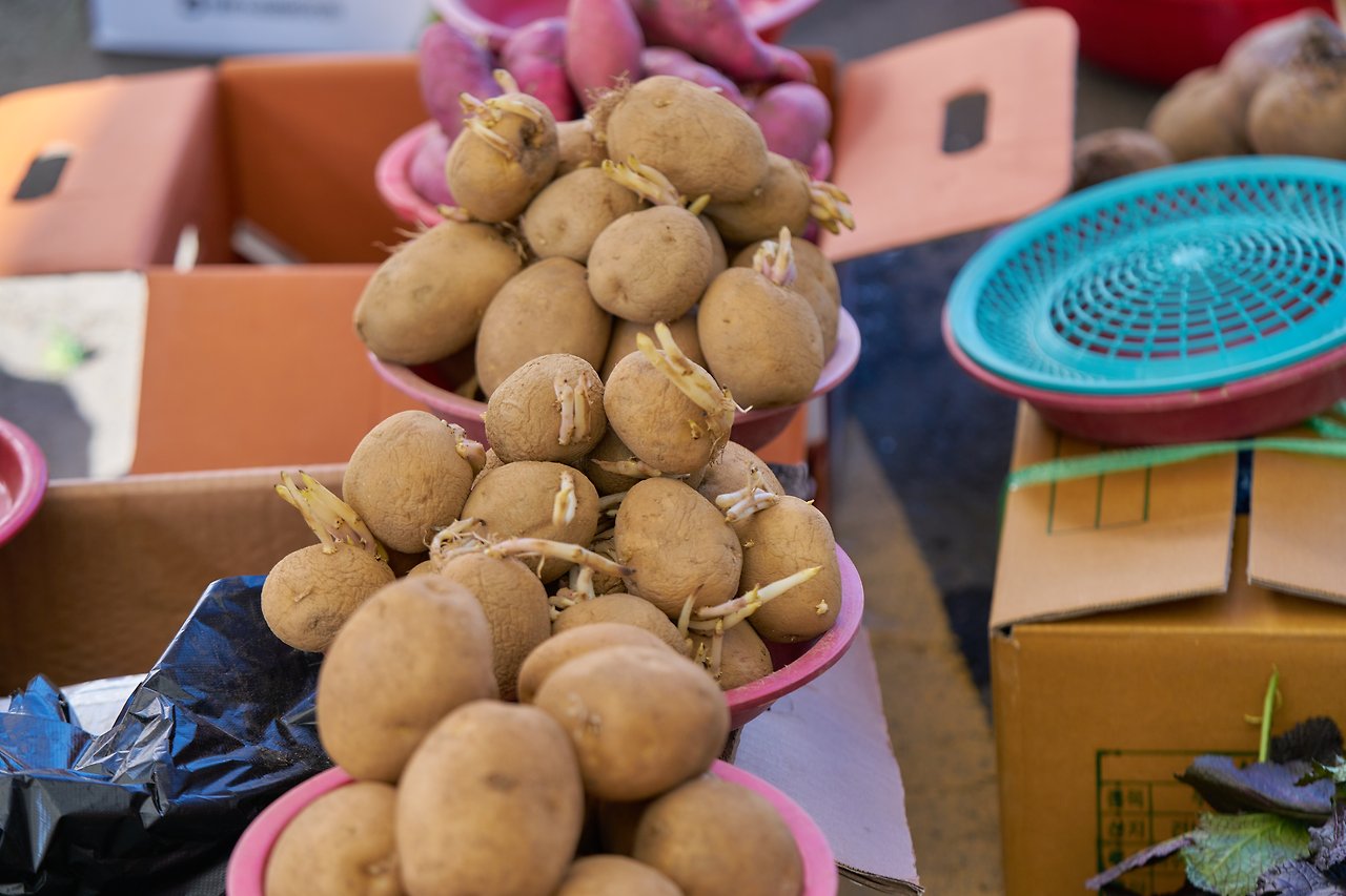 장흥 2.jpg