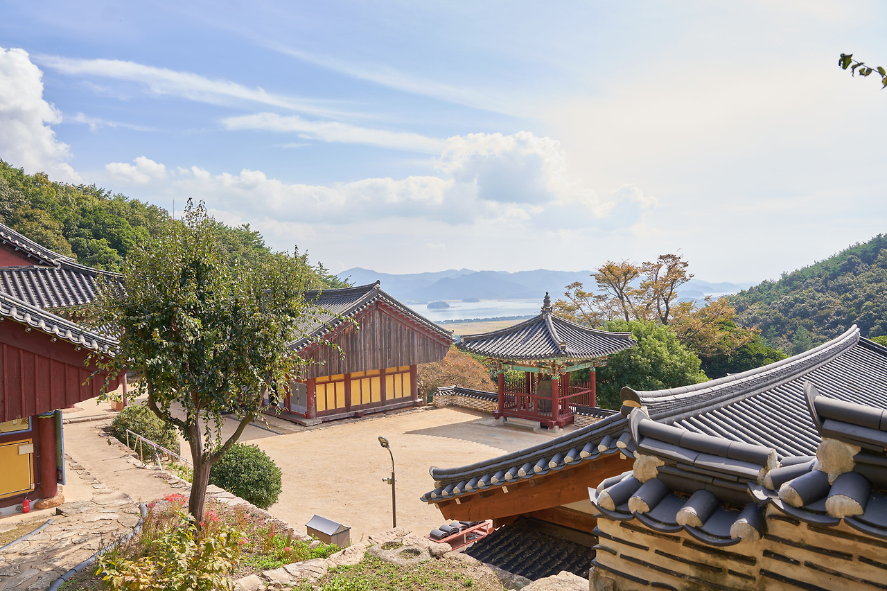 강진 2.jpg