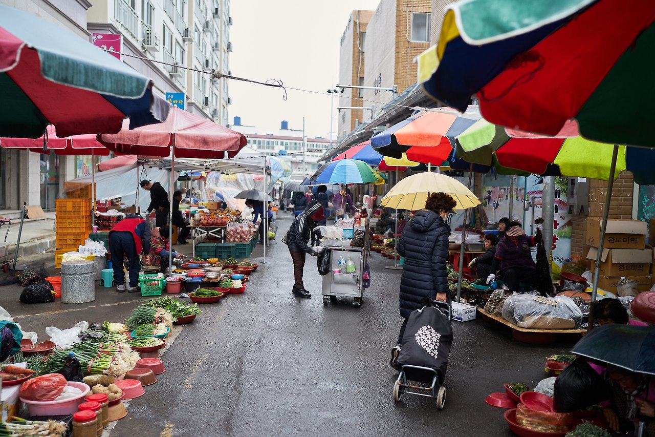 5년 전 고성.jpg