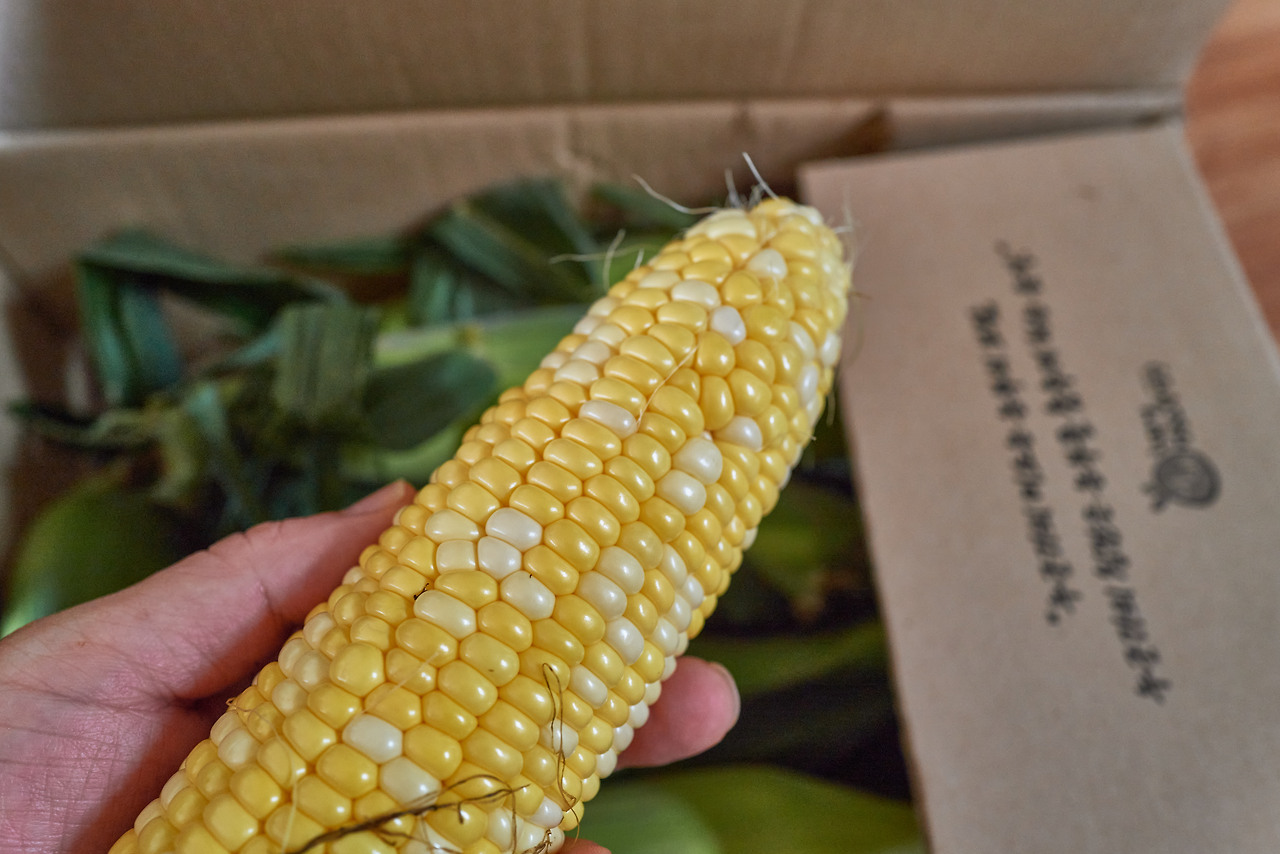 잡다 2.jpg