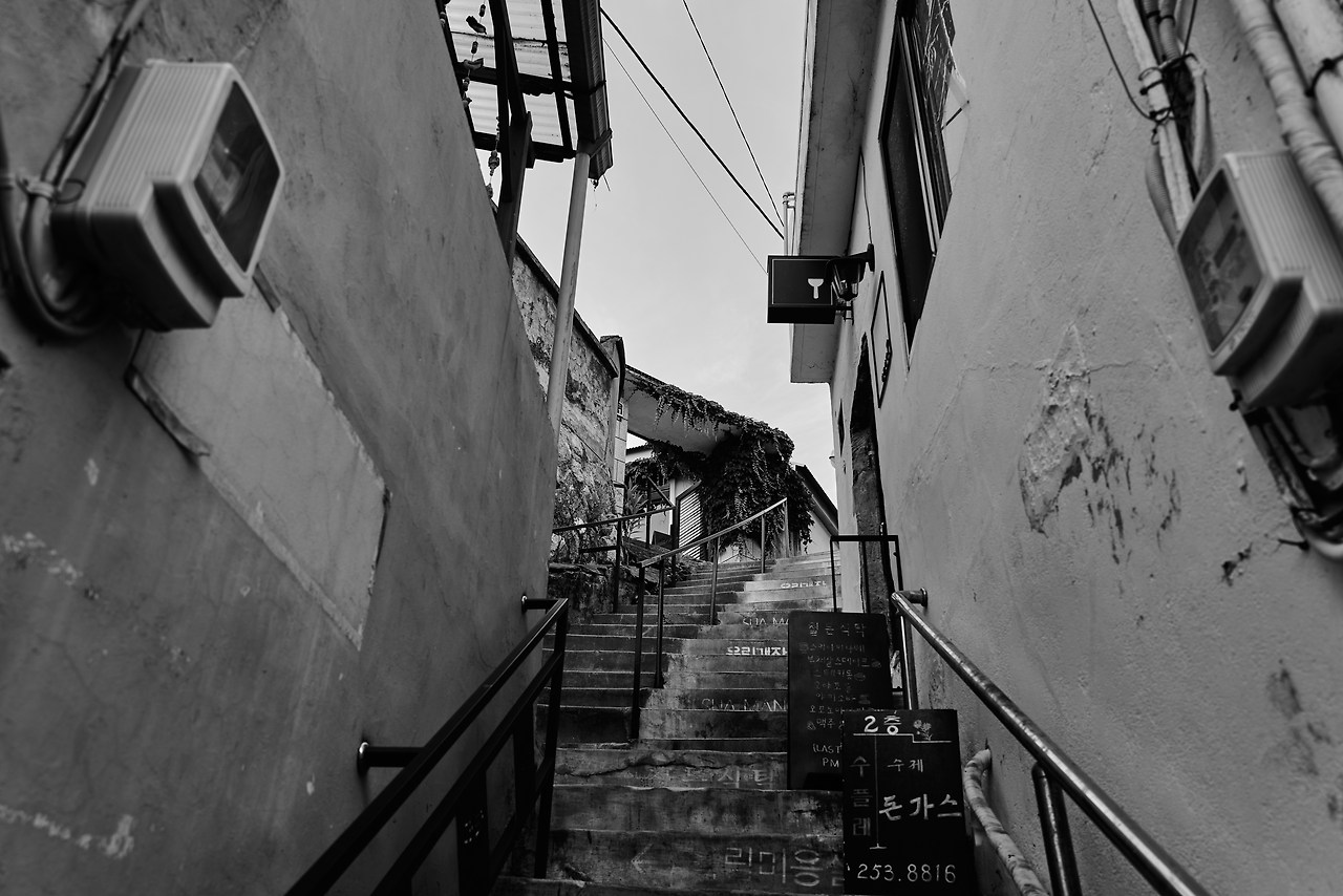 육림고개 1.jpg