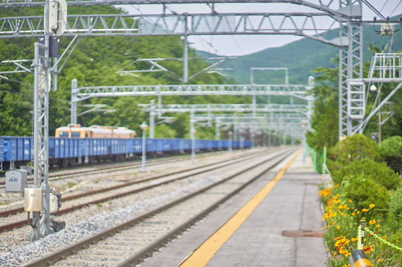 귀네미 2.jpg