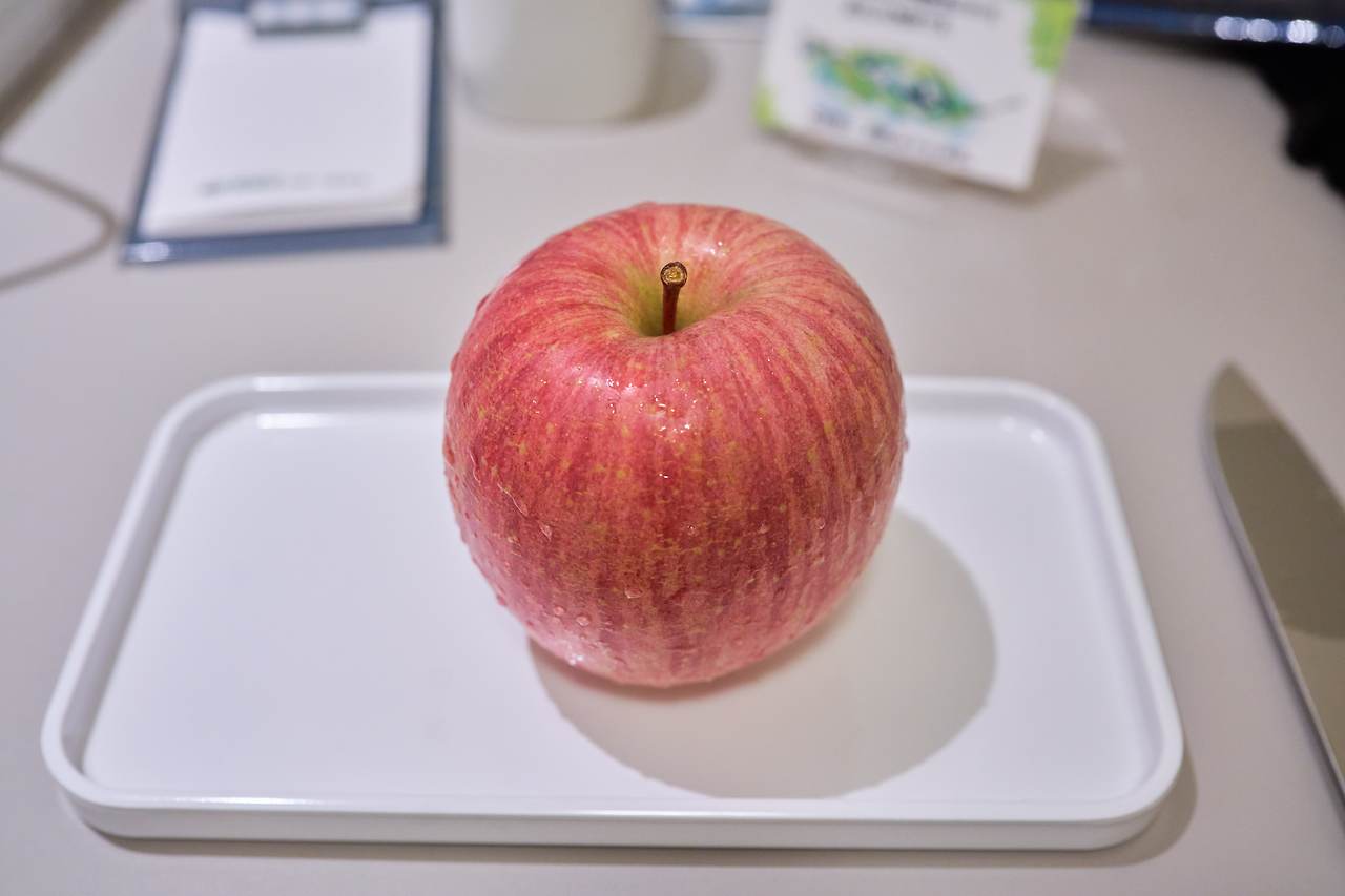 아오모리 첫날 17.jpg