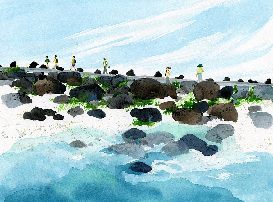 rgb_310x230mm_trekking 72dpi.jpg