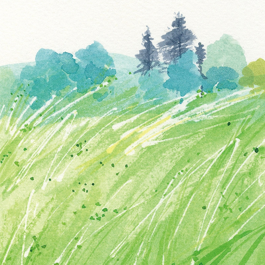 900x900p detail4.jpg