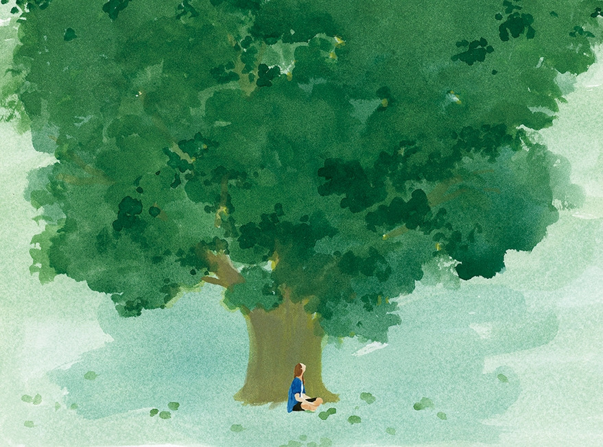 310x230mm under the tree rgb.jpg