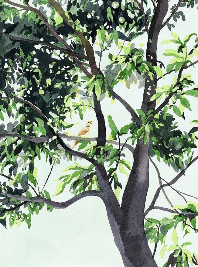 72dpi rgb 230x310mm 나무와 휘파람새.jpg