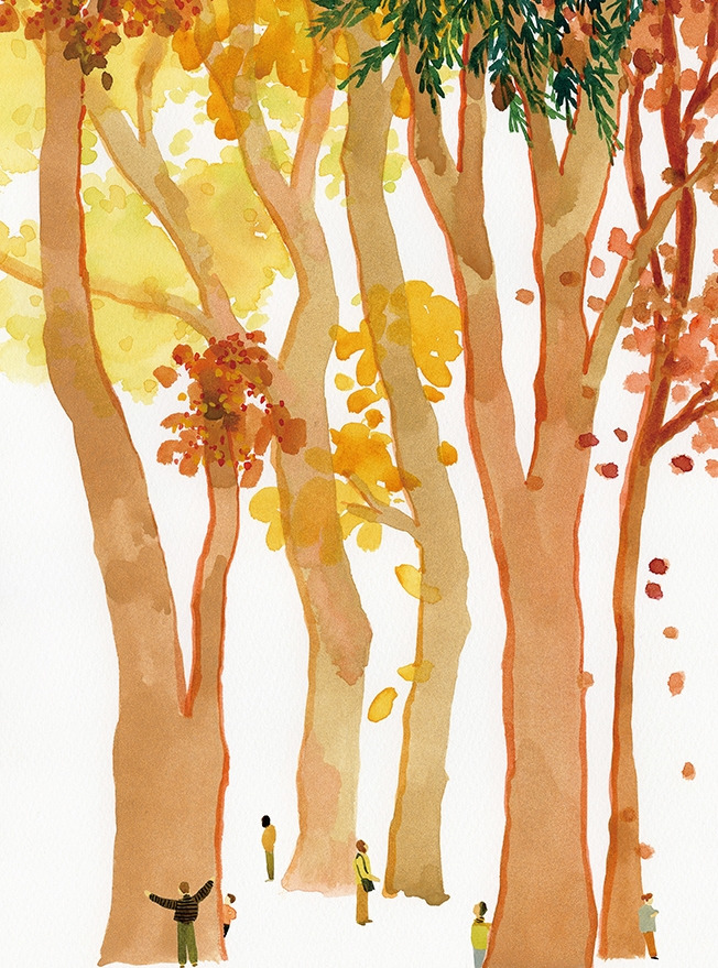 230x310mm 단풍나무 rgb.jpg