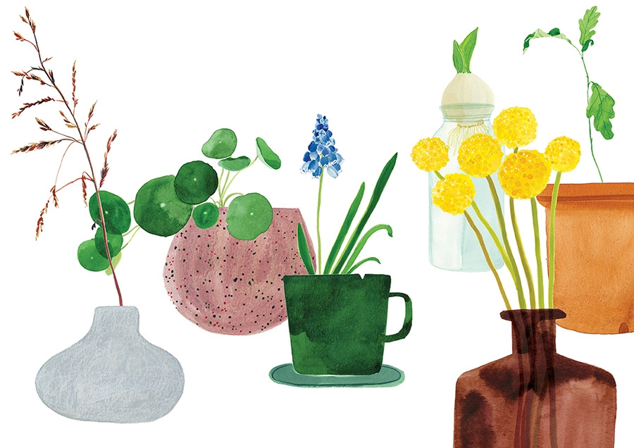 내가 좋아하는 화분들.jpg