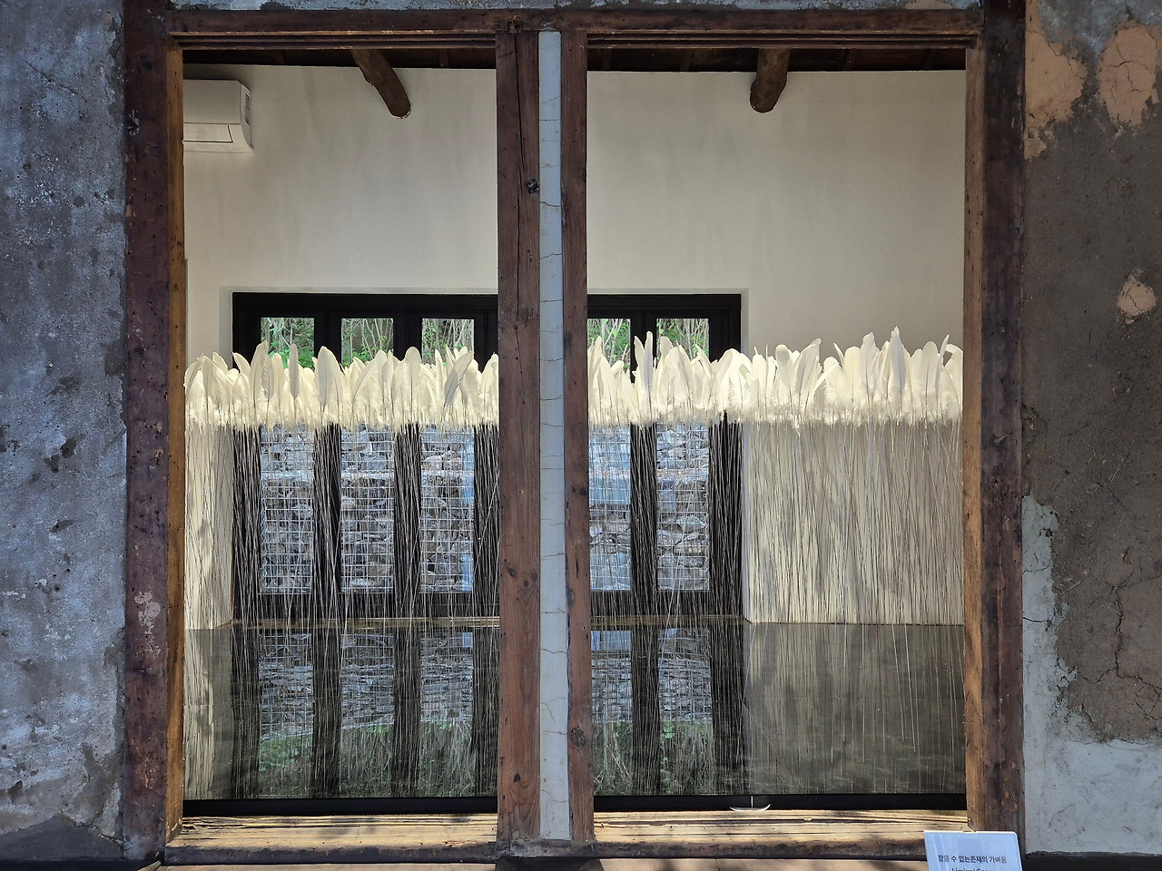 촌닭집 이연숙 2.jpg