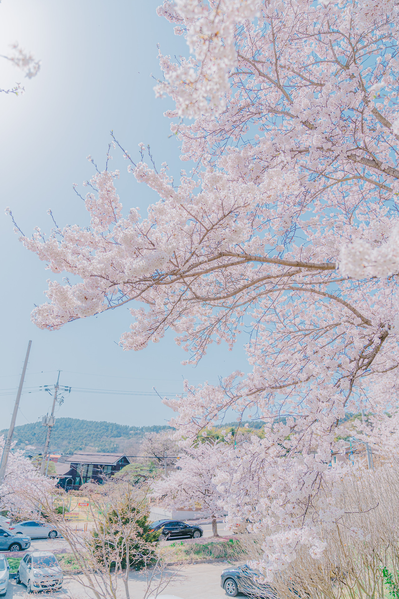 20220411 부춘산체육공원(05)_DSC03653.jpg