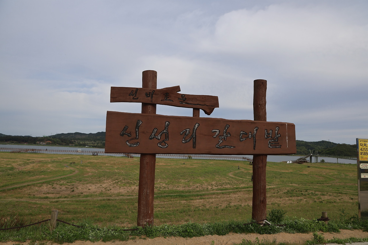 무료 카지노 게임