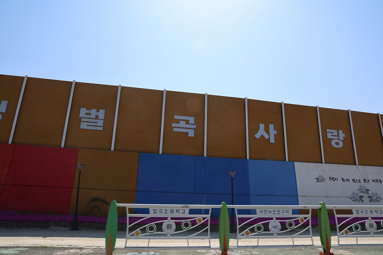 카지노 게임 추천