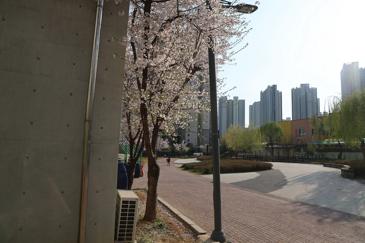 카지노 게임