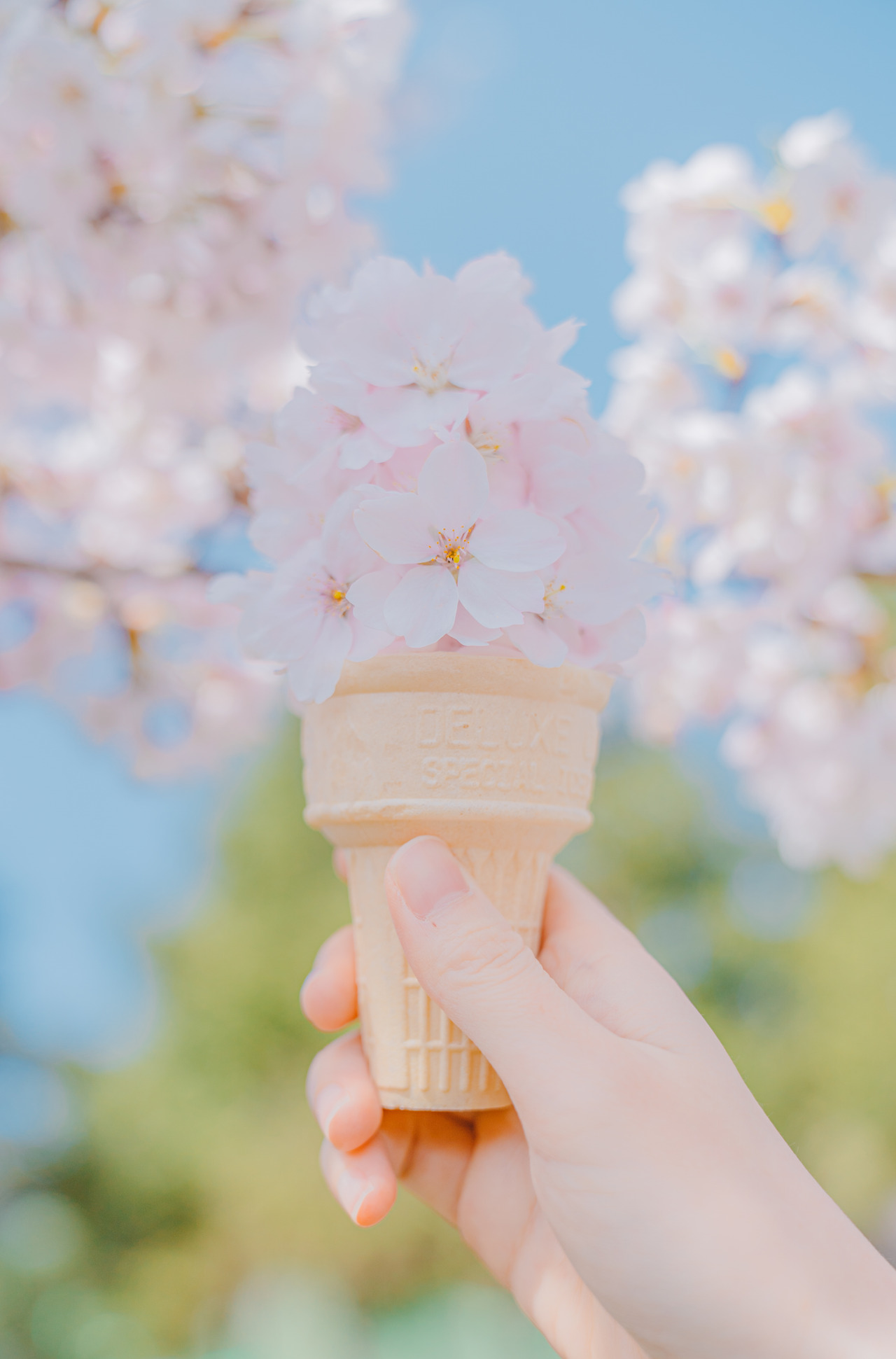 20220411 부춘산체육공원(02)_DSC03638.jpg