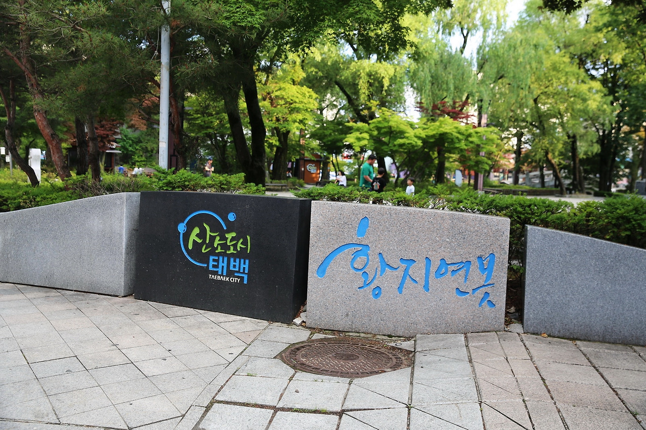 카지노 게임